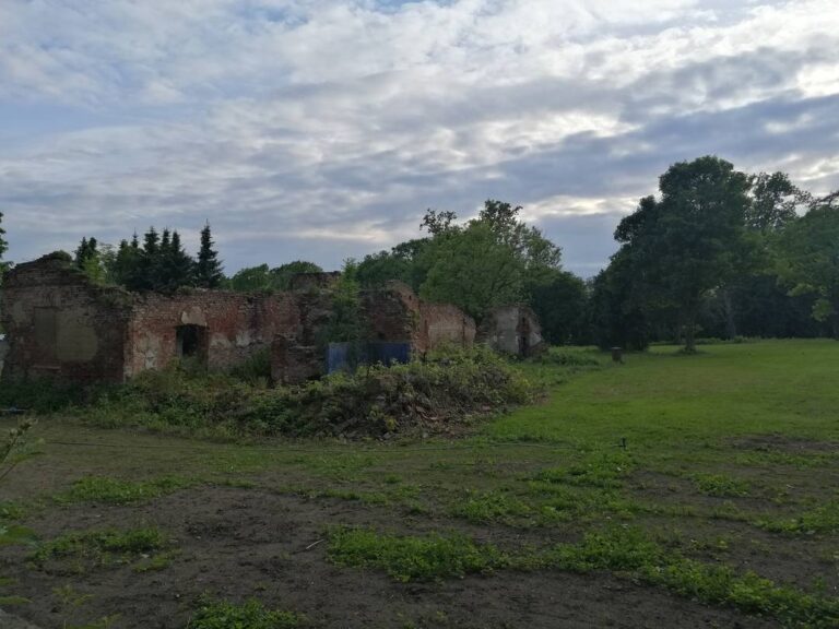 Ruiny pałacu w Mienicach 2025 rok, zdjęcie 5