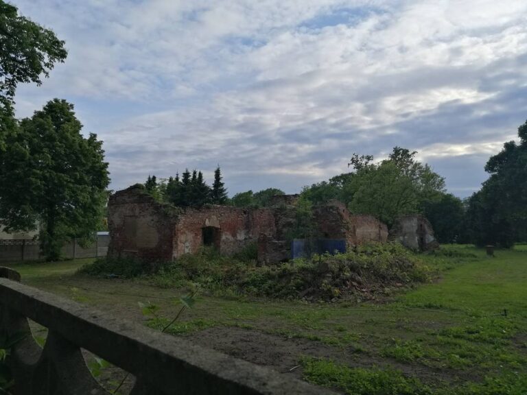 Ruiny pałacu w Mienicach 2025 rok, zdjęcie 3