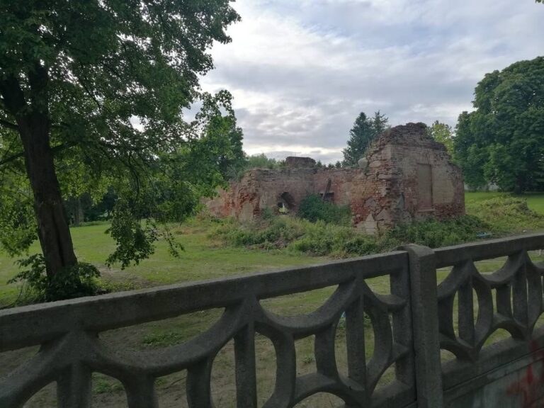 Ruiny pałacu w Mienicach 2025 rok, zdjęcie 4