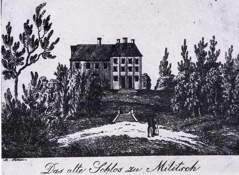 Zamek książąt oleśnickich w Miliczu ruiny rok 1810