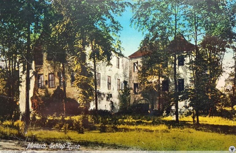 Zamek książąt oleśnickich w Miliczu ruiny rok 1910