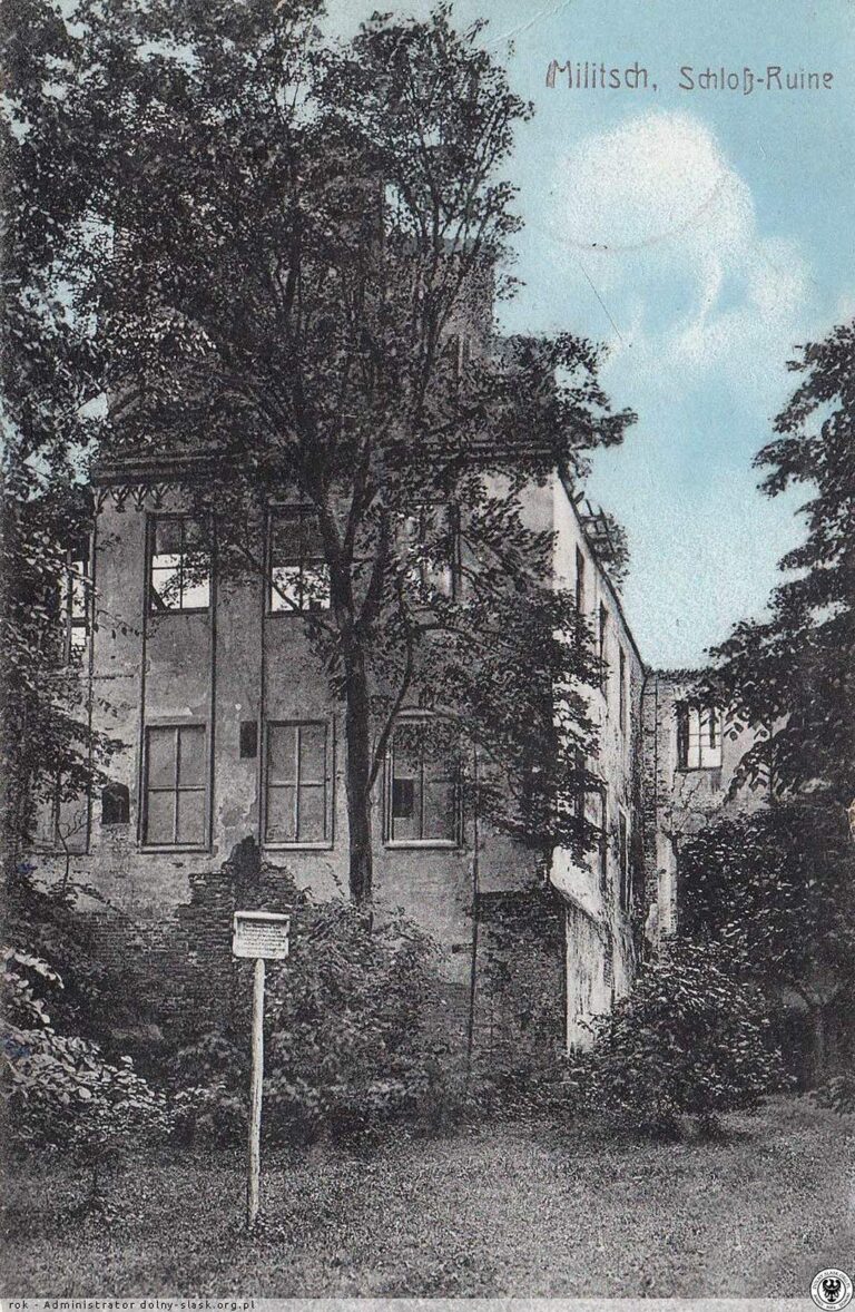 Zamek książąt oleśnickich w Miliczu ruiny rok 1915