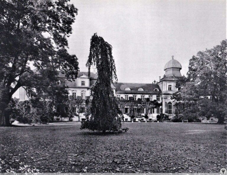 Archiwalne zdjęcie pałacu oraz wieży mieszkalnej Hatzfeldów w Żmigrodzie Archiwalne zdjęcie pałacu oraz wieży mieszkalnej Hatzfeldów w Żmigrodzie
