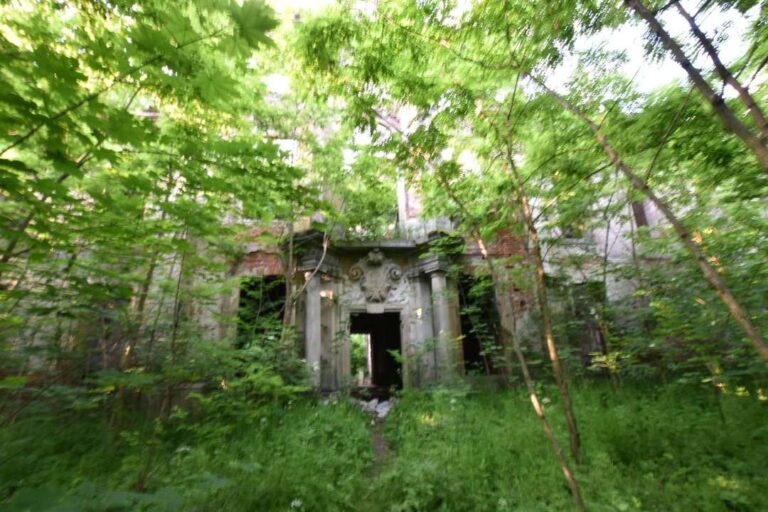 Ruiny pałacu w Brzezince