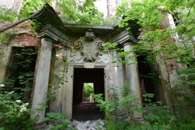 Tylne wejście pałacu w Brzezince