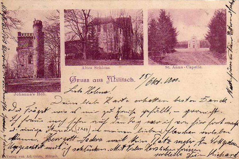 Zamek książąt oleśnickich w Miliczu ruiny rok 1900