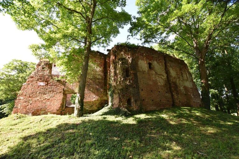 Ruiny zamku w Miliczu zdjęcie 4