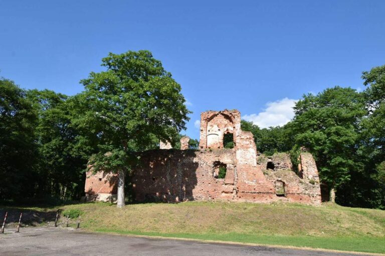 Ruiny zamku w Miliczu zdjęcie 8