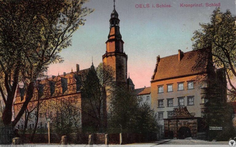 Zamek książąt oleśnickich w Oleśnicy, ul. Zamkowa 4, archiwalne zdjęcie 11