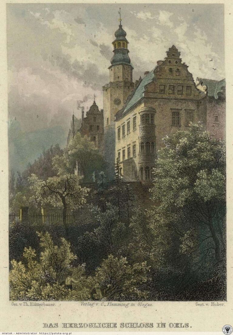 Zamek książąt oleśnickich w Oleśnicy, ul. Zamkowa 4, archiwalne zdjęcie 12