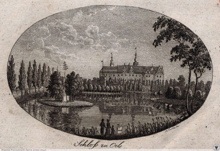 Zamek książąt oleśnickich w Oleśnicy, ul. Zamkowa 4, archiwalne zdjęcie 14