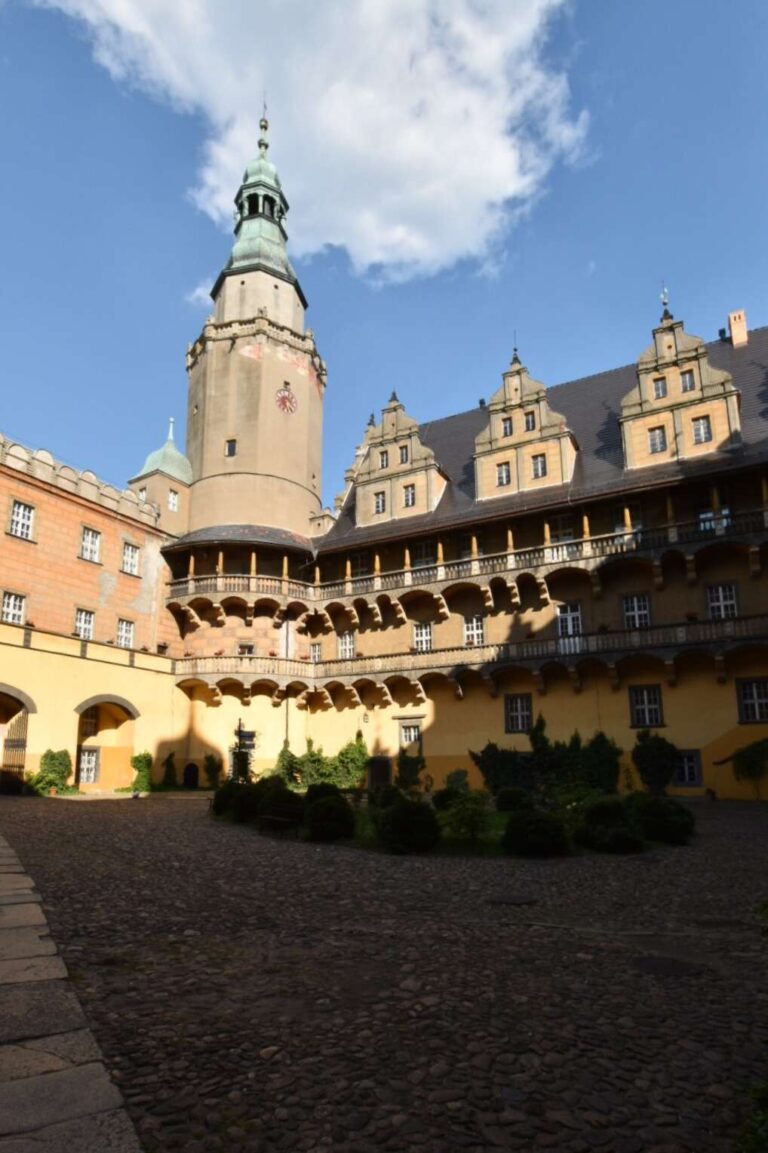 Zamek książąt oleśnickich w Oleśnicy, ul. Zamkowa 4, zdjęcie 8