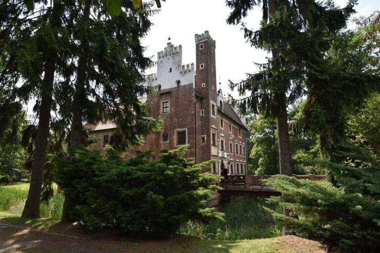 Zamek w Wojnowicach widok od strony wieży