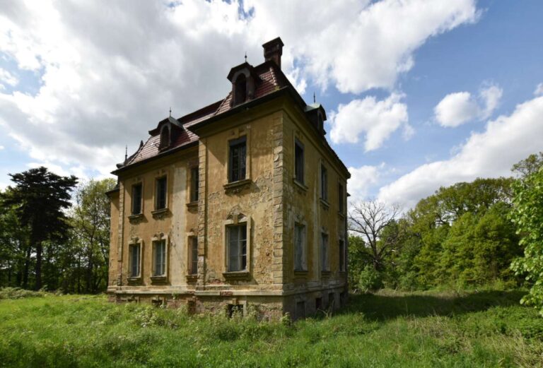 Pałac w Ligocie Strupińskiej zdjęcie 2 Pałac w Ligocie Strupińskiej zdjęcie 2