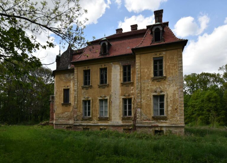 Pałac w Ligocie Strupińskiej zdjęcie 3 Pałac w Ligocie Strupińskiej zdjęcie 3