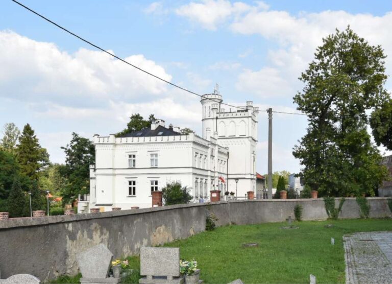 Widok na pałac w Mrozowie Widok na pałac w Mrozowie